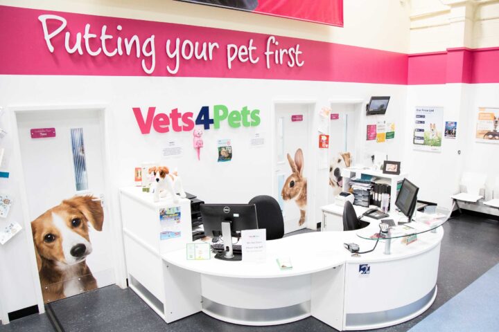 Veterinary clinic reception area with pet-themed decor